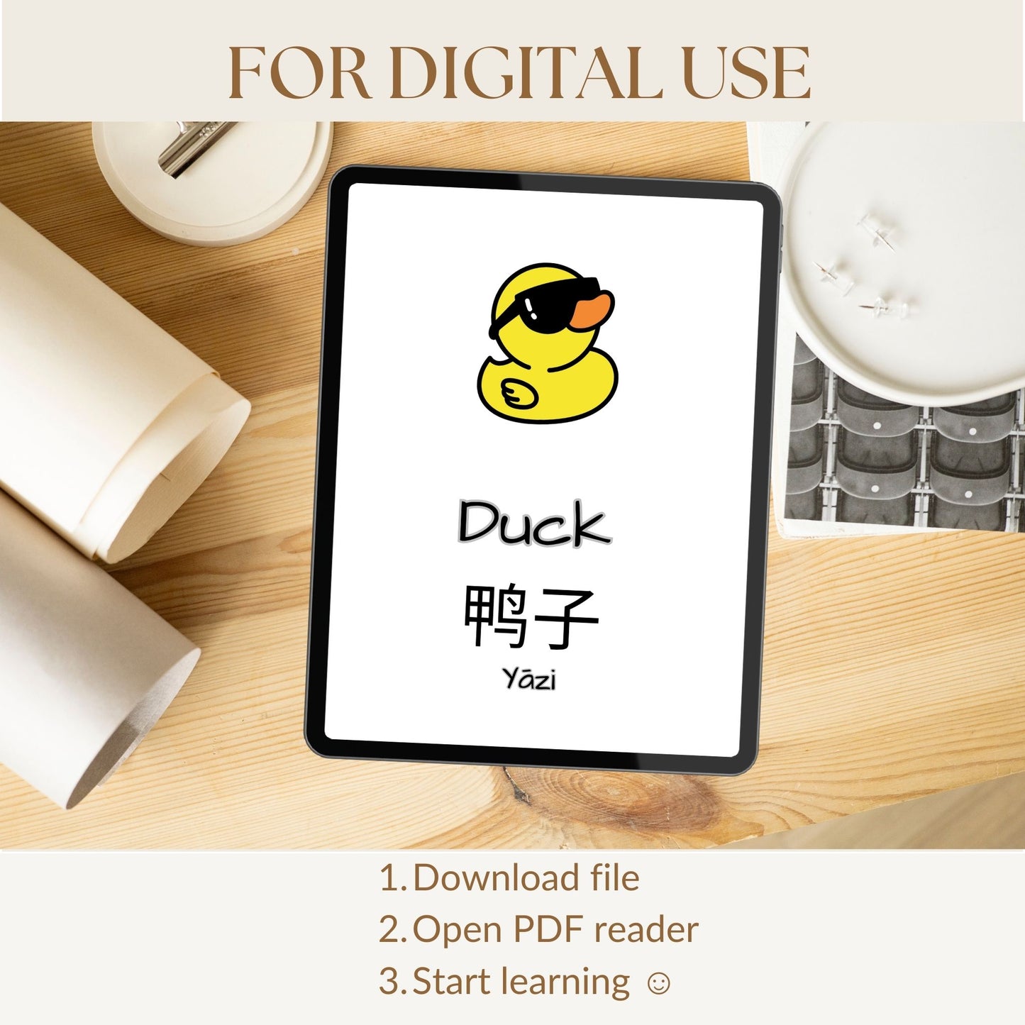 Book Art - English/Chinese(Mandarin) Digital Printable Educational Flashcards - PDF, JPG